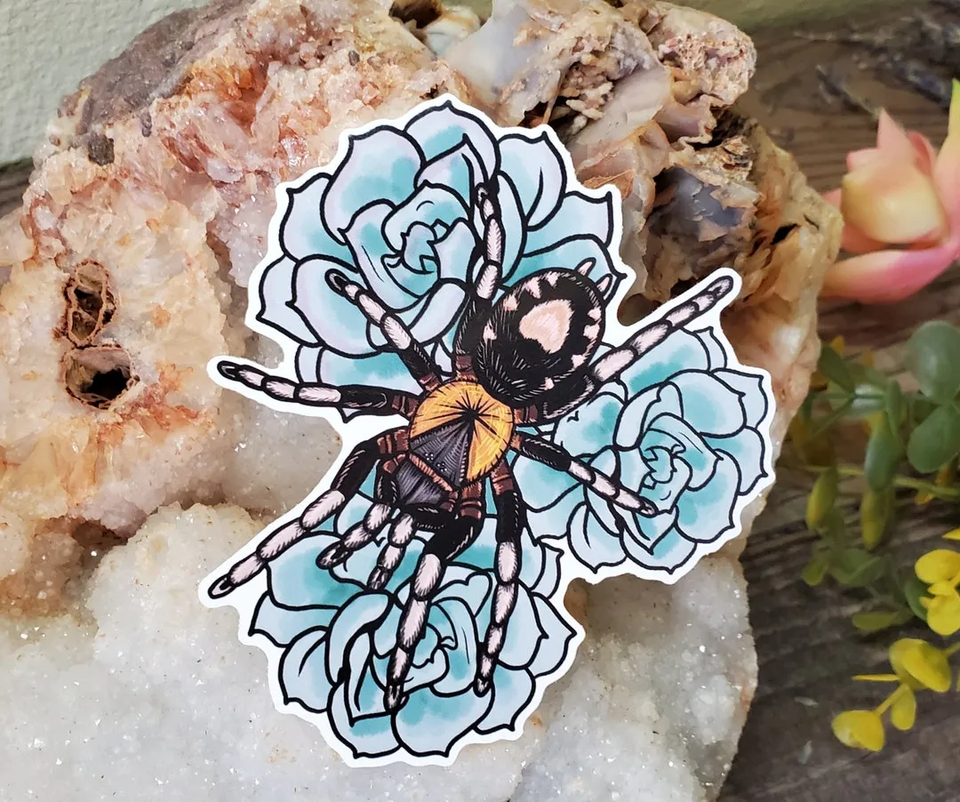 19910 c elegans habitat