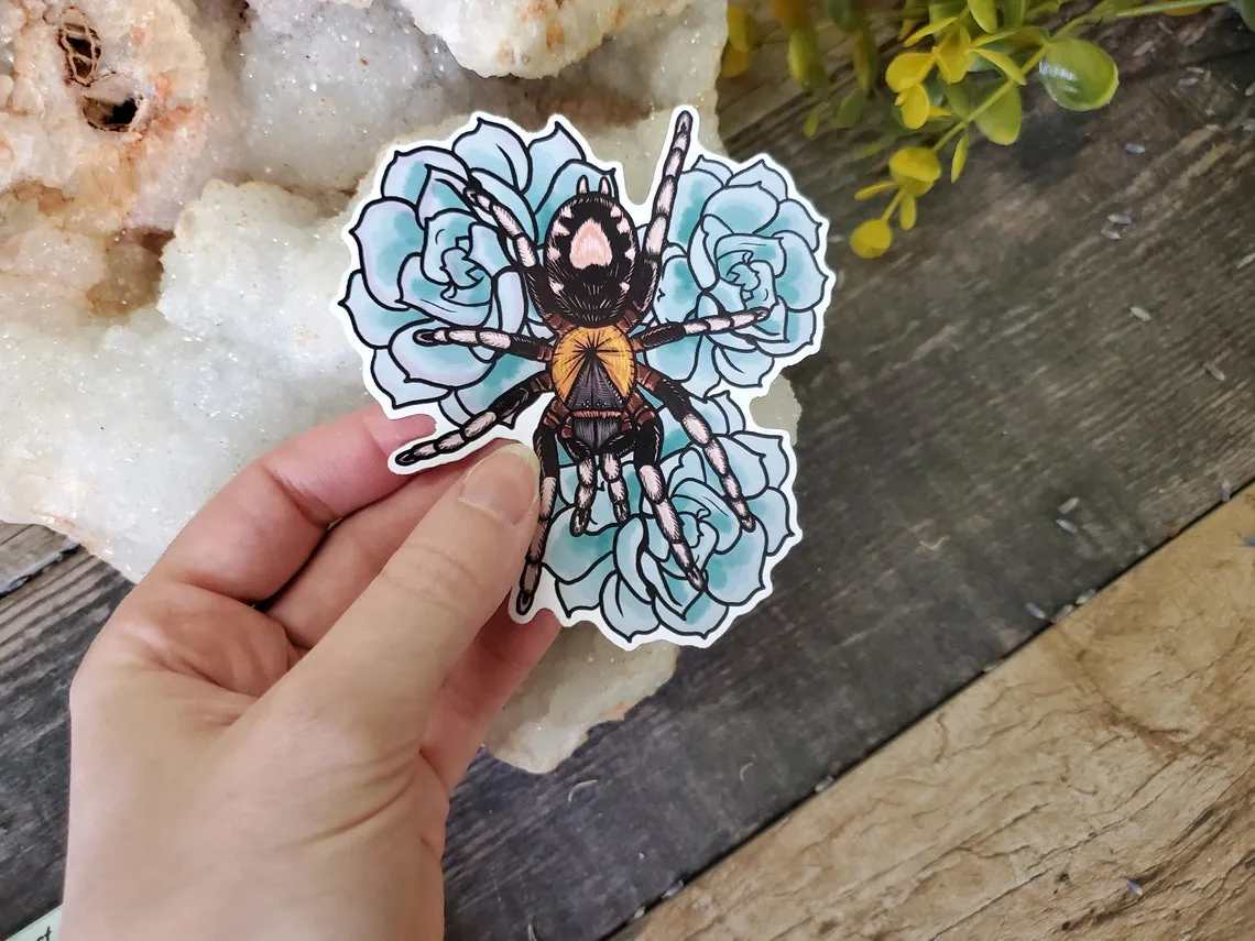 19910 tarantula habitat