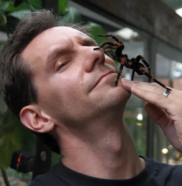 19938 tarantula lifespan