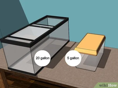 19949 tarantula handling 3