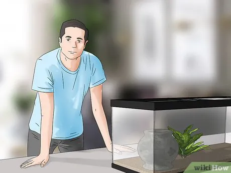 19949 tarantula handling 6