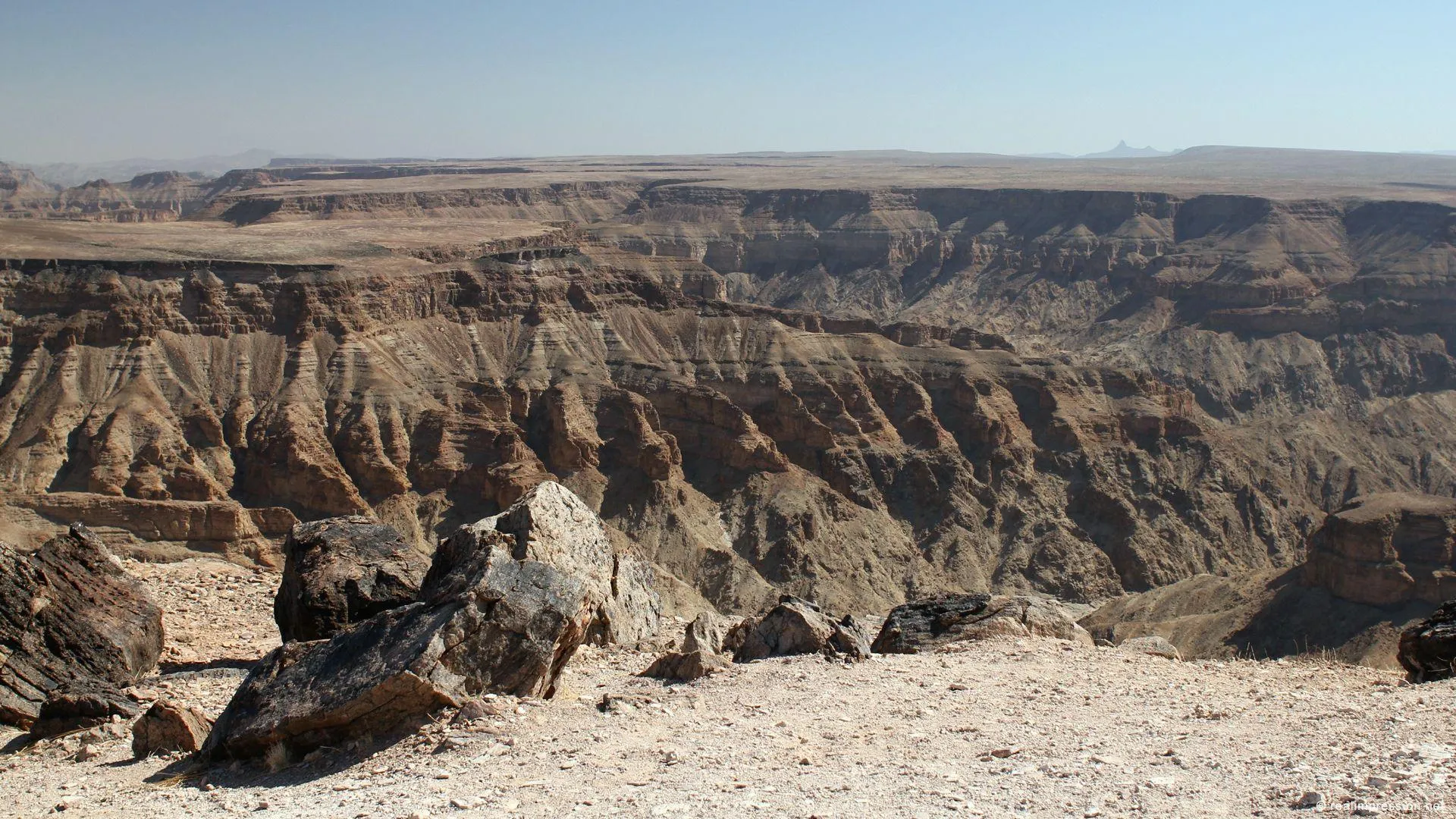 19962 fish river canyon tarantula habitat