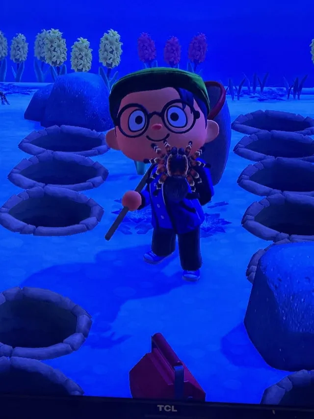 19963 acnh island preparation