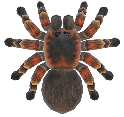 19963 acnh tarantula selling