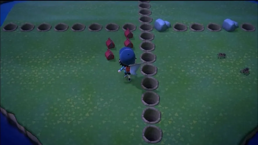 19964 acnh catching tarantulas