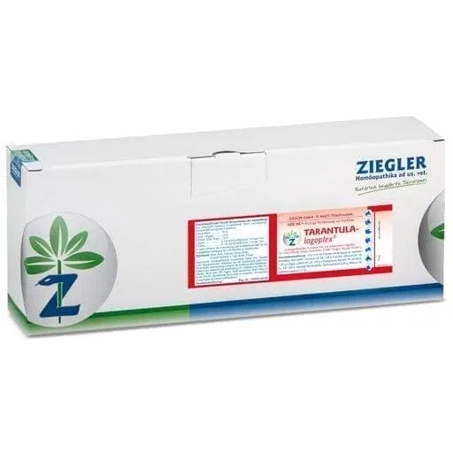 /img/19980-tarantula-prevention.webp