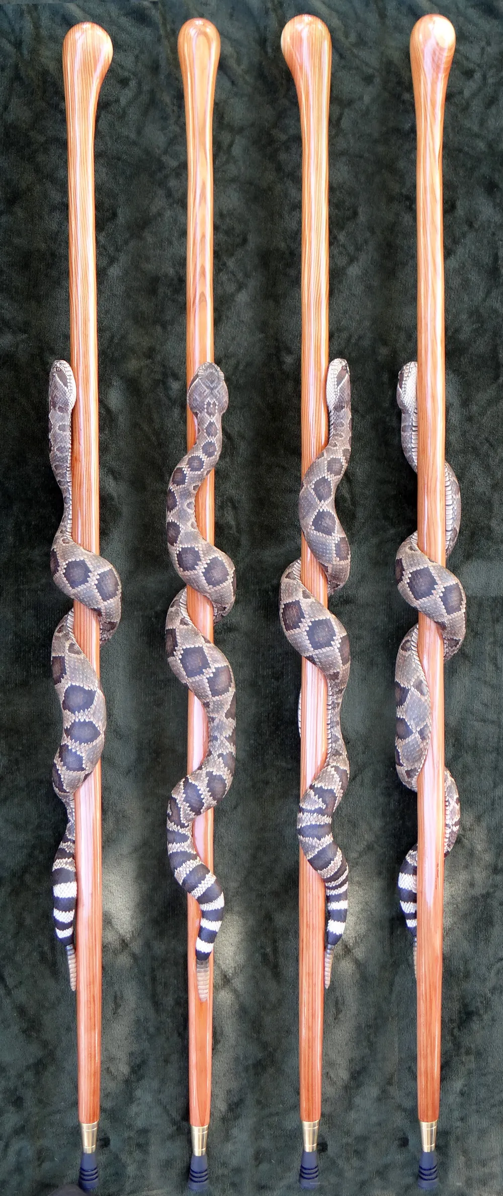 19984 choosing tarantula