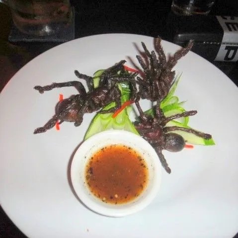 19984 tarantula molting