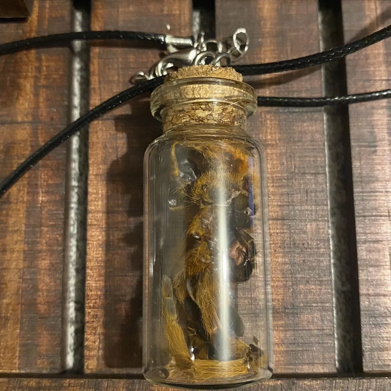 19990 tarantula molt jewelry unique design