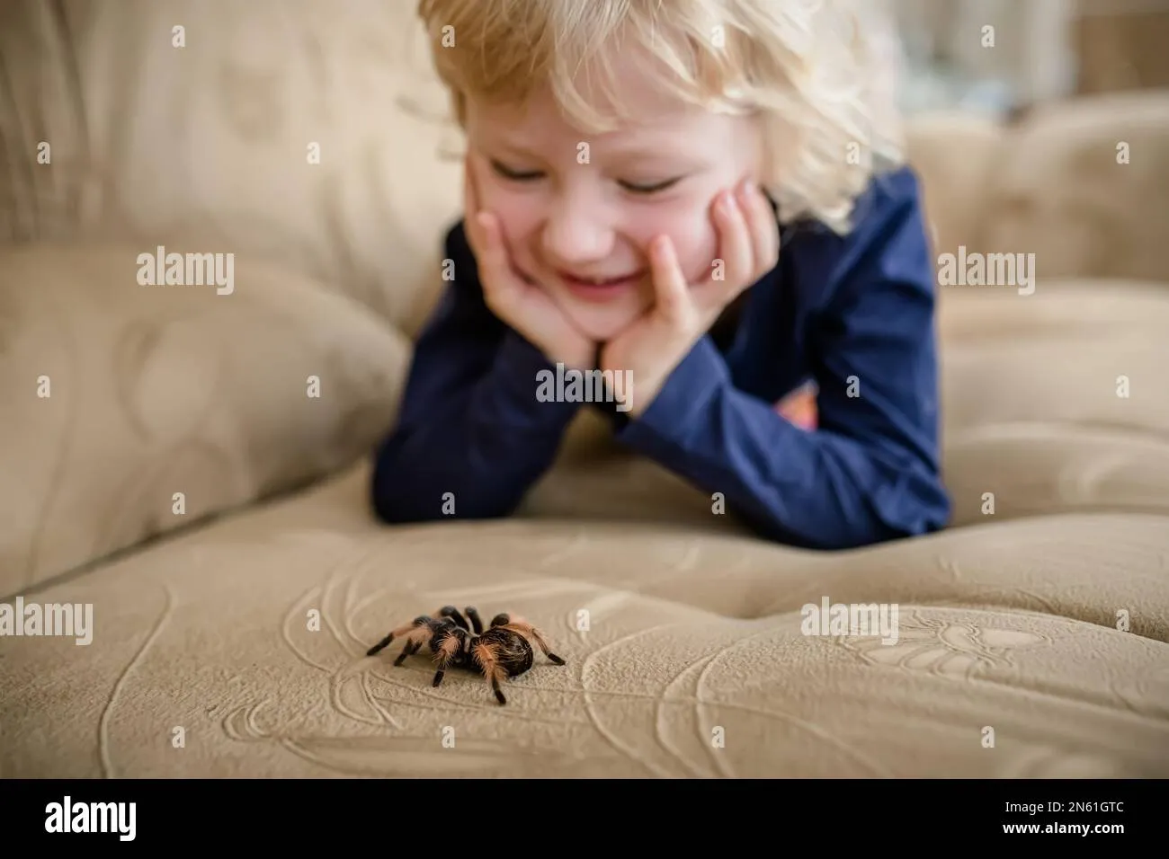 /img/19998-tarantula-care.webp