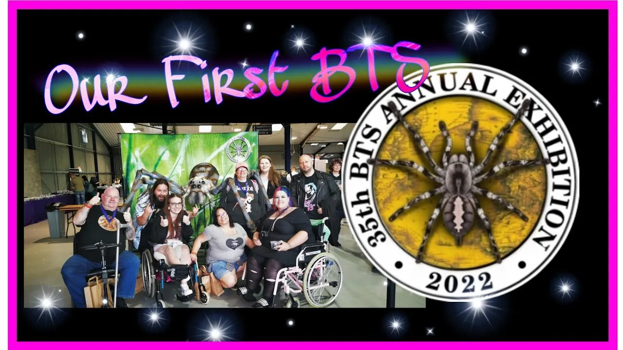 20030 british tarantula show attraction