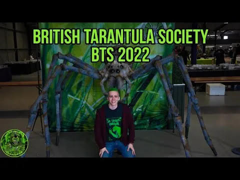 20030 tarantula in the wild