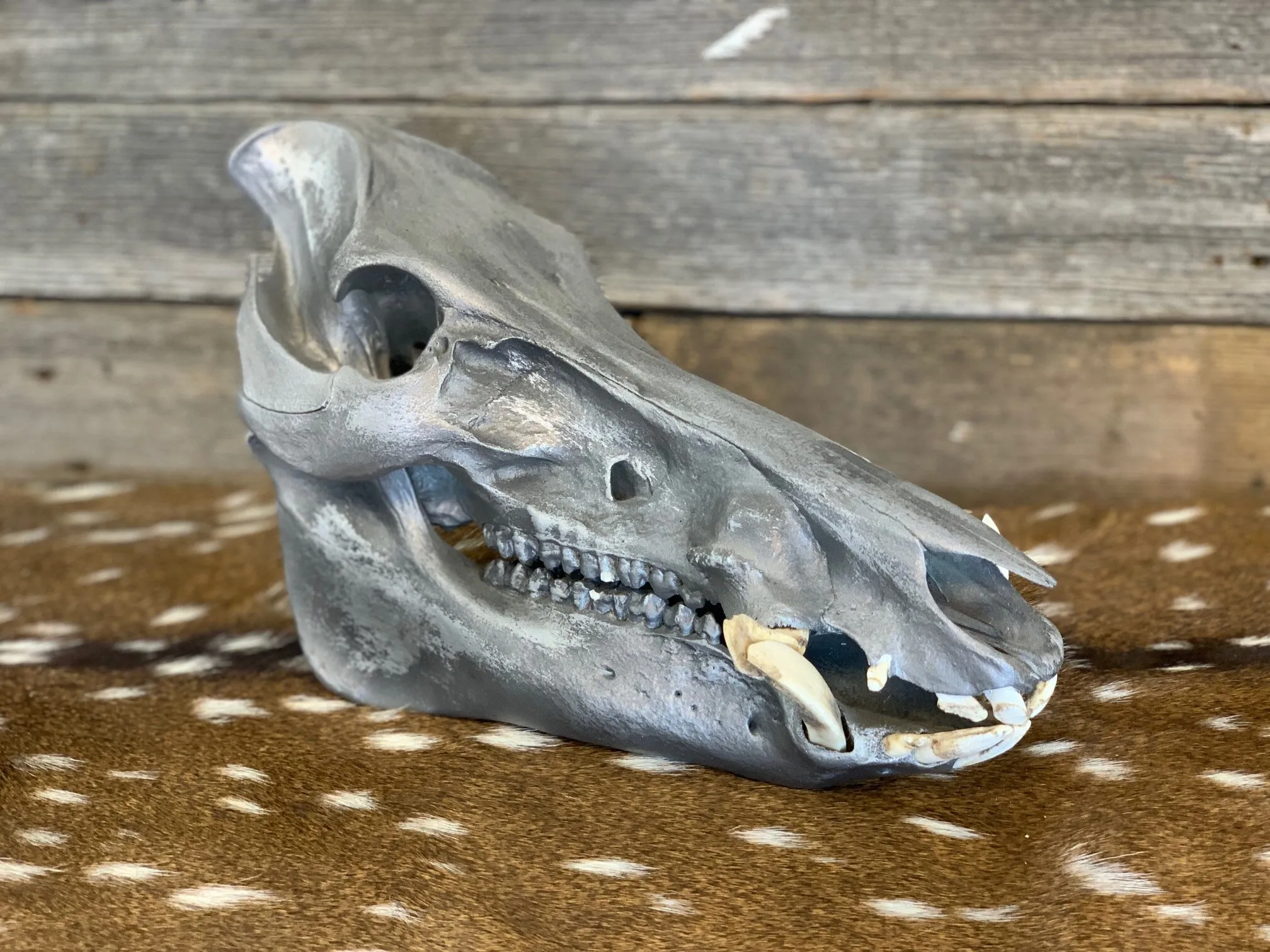 20045 tarantula preparation