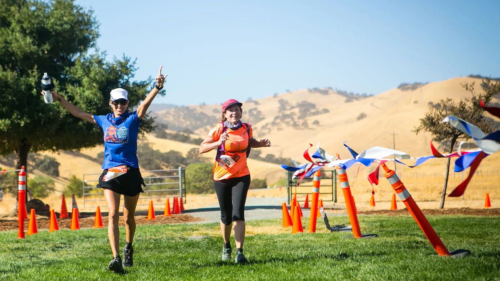 20048 tarantula enclosure