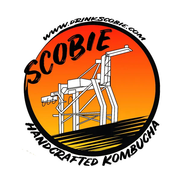 20048 tarantula feeding