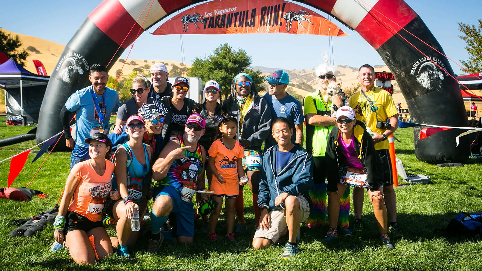 20048 tarantula handling