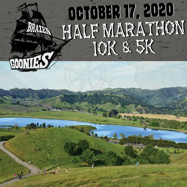 20048 tarantula molting