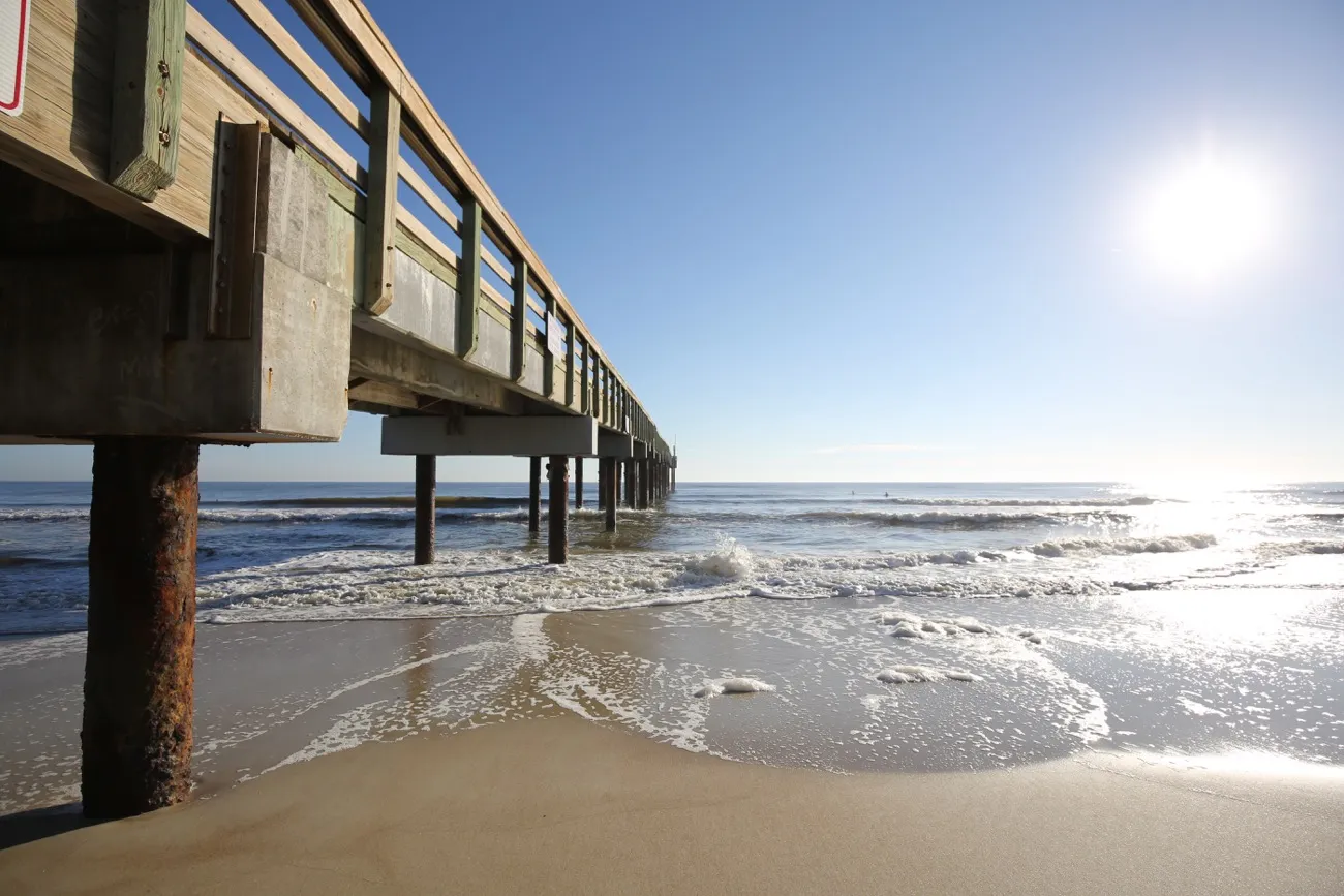 20054 surf station tarantula feeding