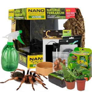 20060 tarantula mating