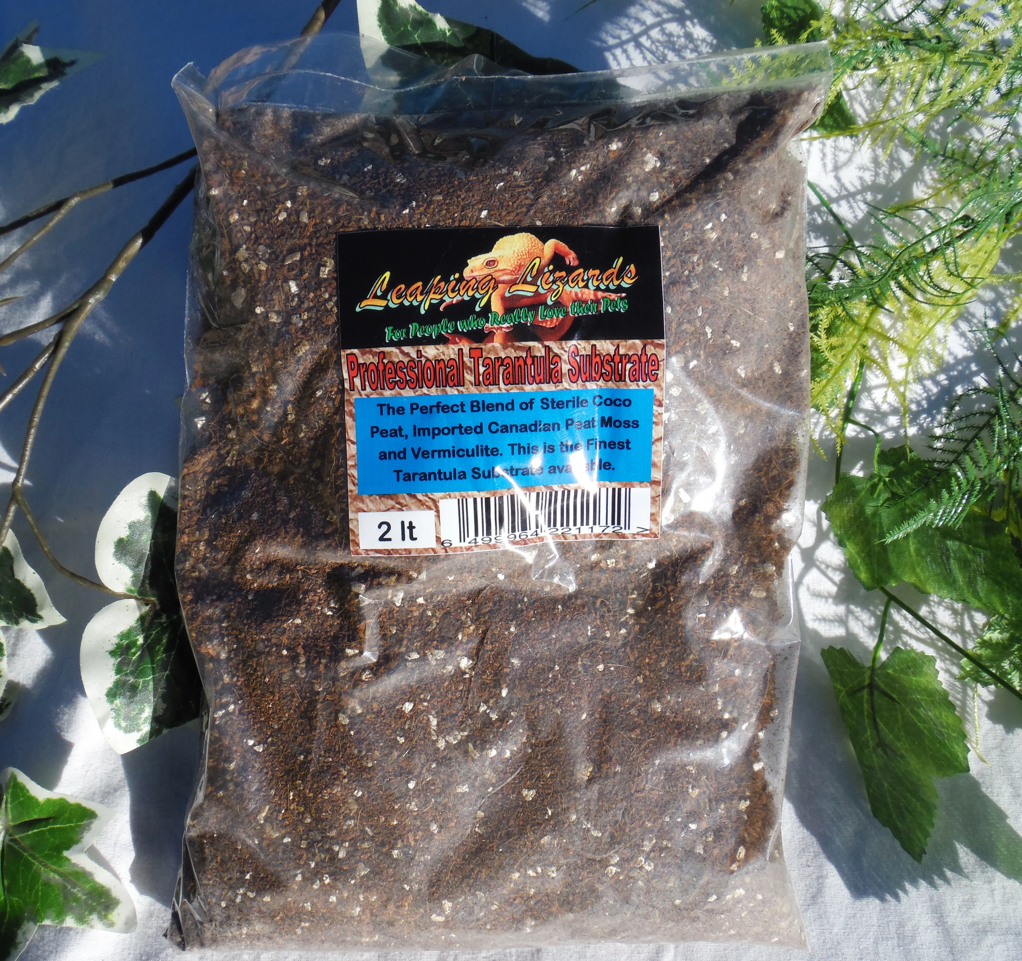 20067 balfouri tarantula substrate overview