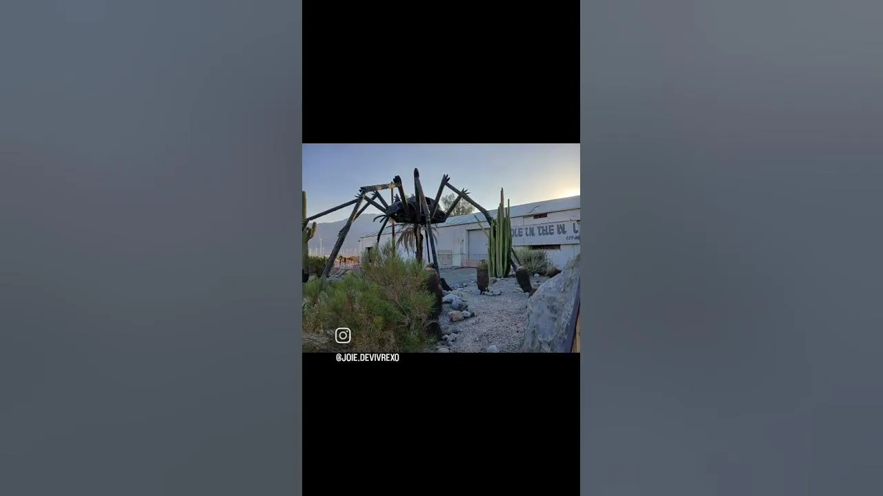 20071 tarantula habitat