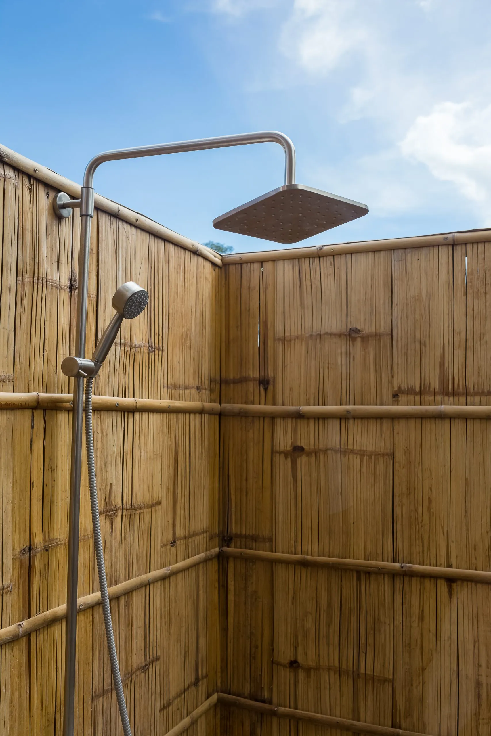 20084 tarantula substrate