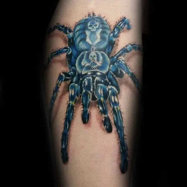 20087 geometric tarantula tattoo