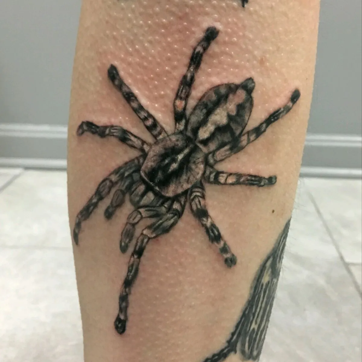 /img/20087-leg-tarantula-tattoo.webp