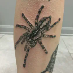 /img/20087-leg-tarantula-tattoo.webp