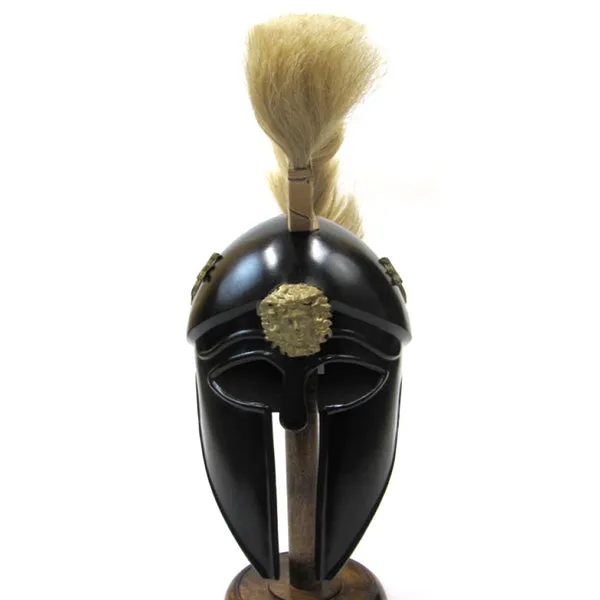 20094 tarantula helmet care