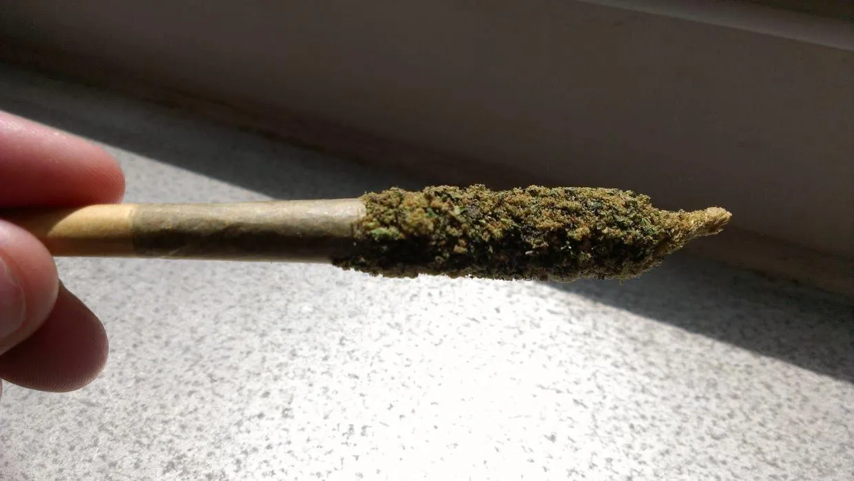 20117 green tarantula joint