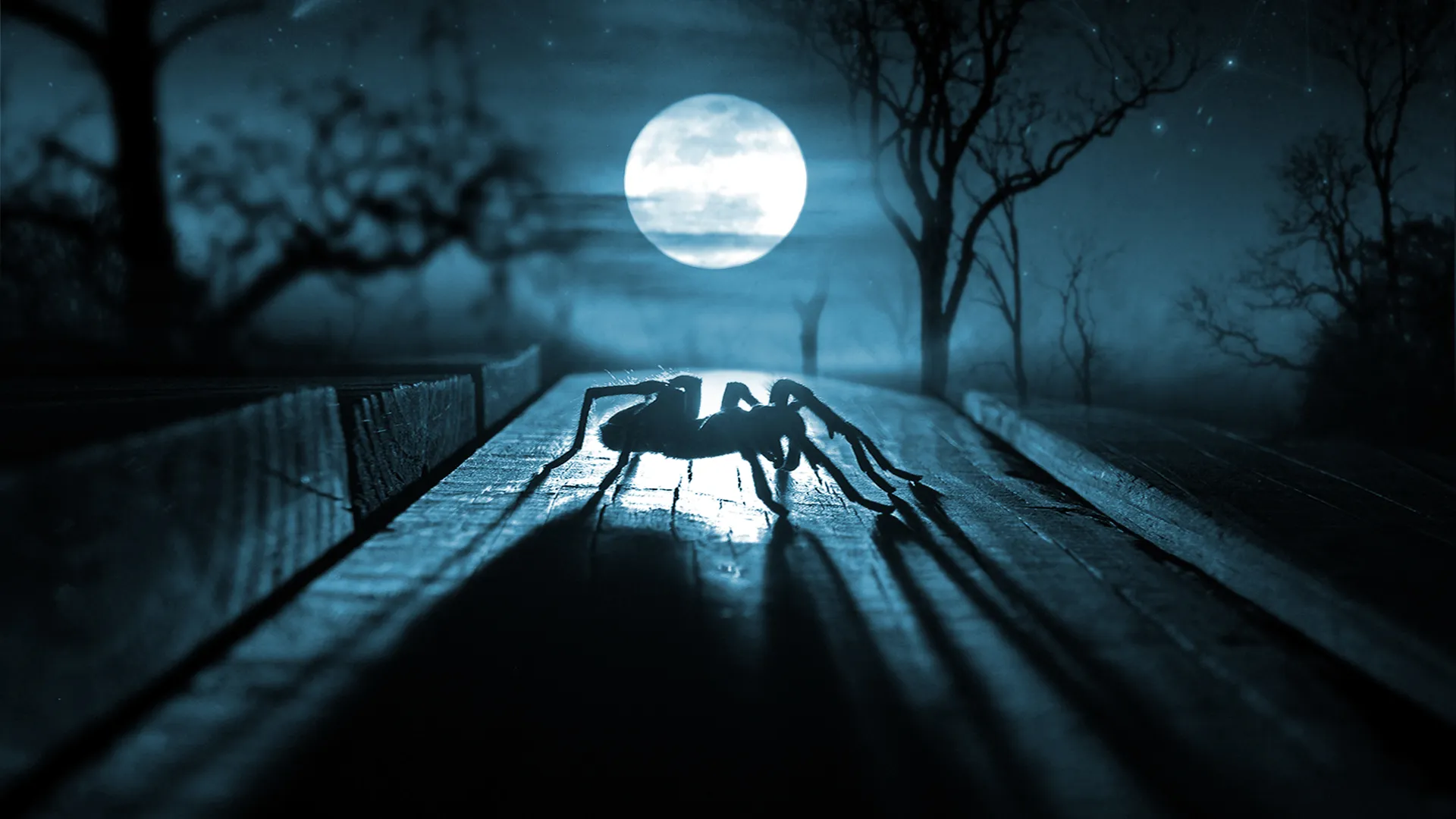 20127 texas tarantula swarm