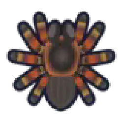/img/20136-acnh-tarantula-avoid-mistakes.webp