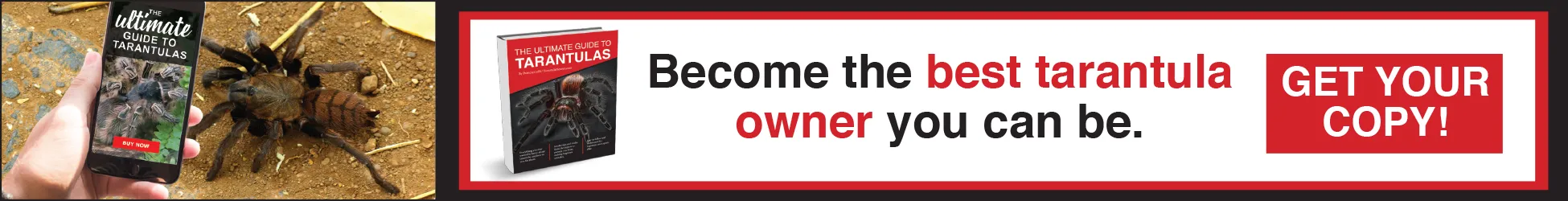 20140 tarantula company overview