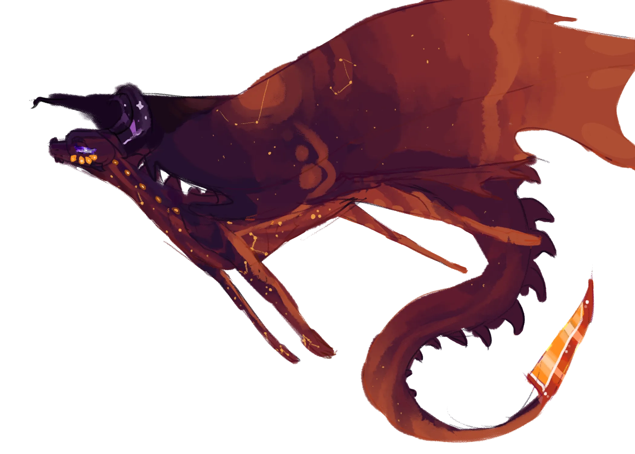 20152 monitoring tarantula eggs